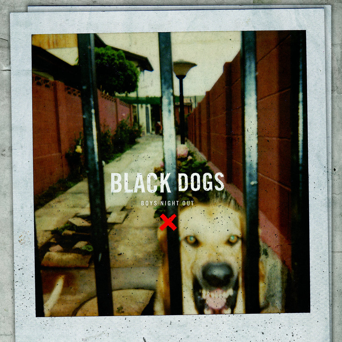 Boys Night Out "Black Dogs"