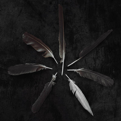 Caspian "Dust and Disquiet"