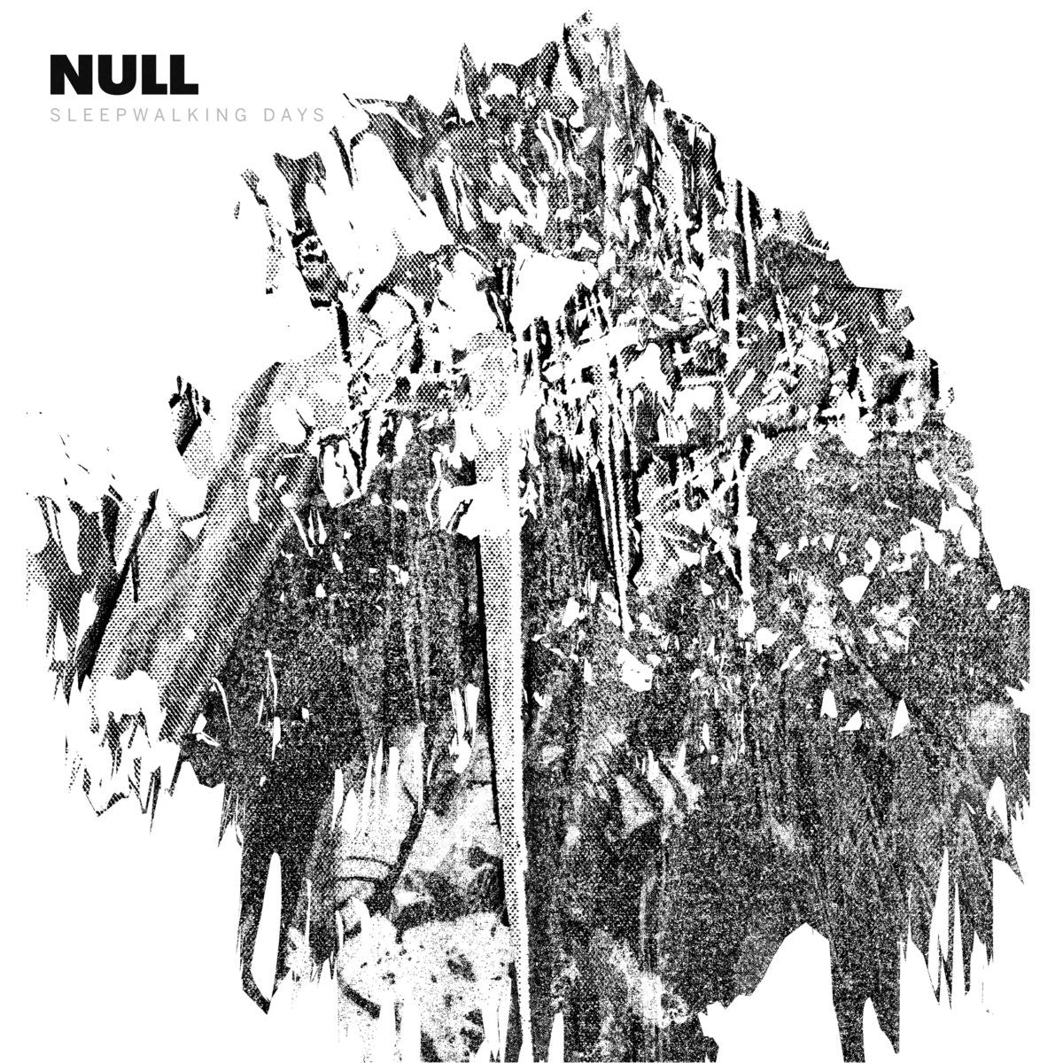 Null "Sleepwalking Days"