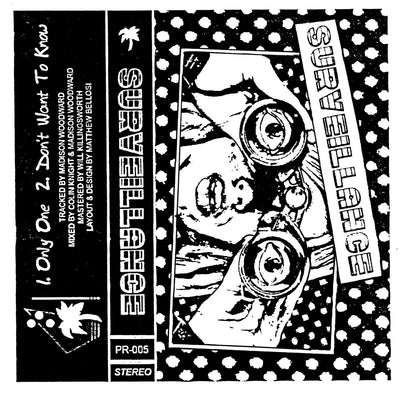 Surveillance "Demonstration"