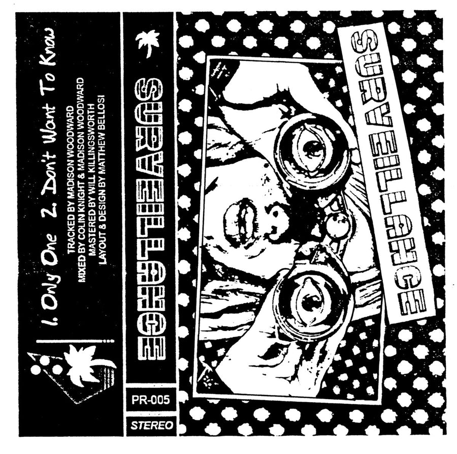 Surveillance "Demonstration"