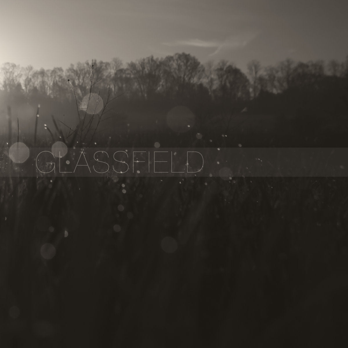 Glassfield "Unwrought Atlas"