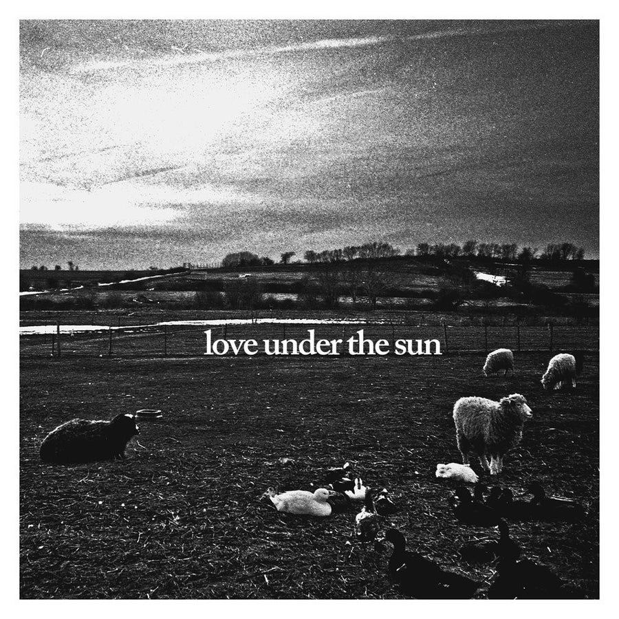 Raindance "Love Under The Sun"