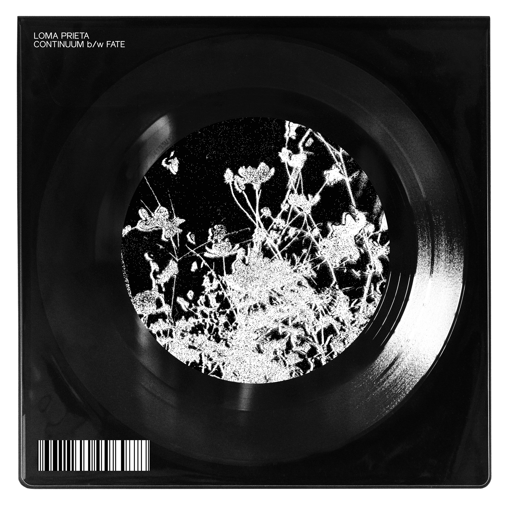 Loma Prieta "Continuum b/w Fate"