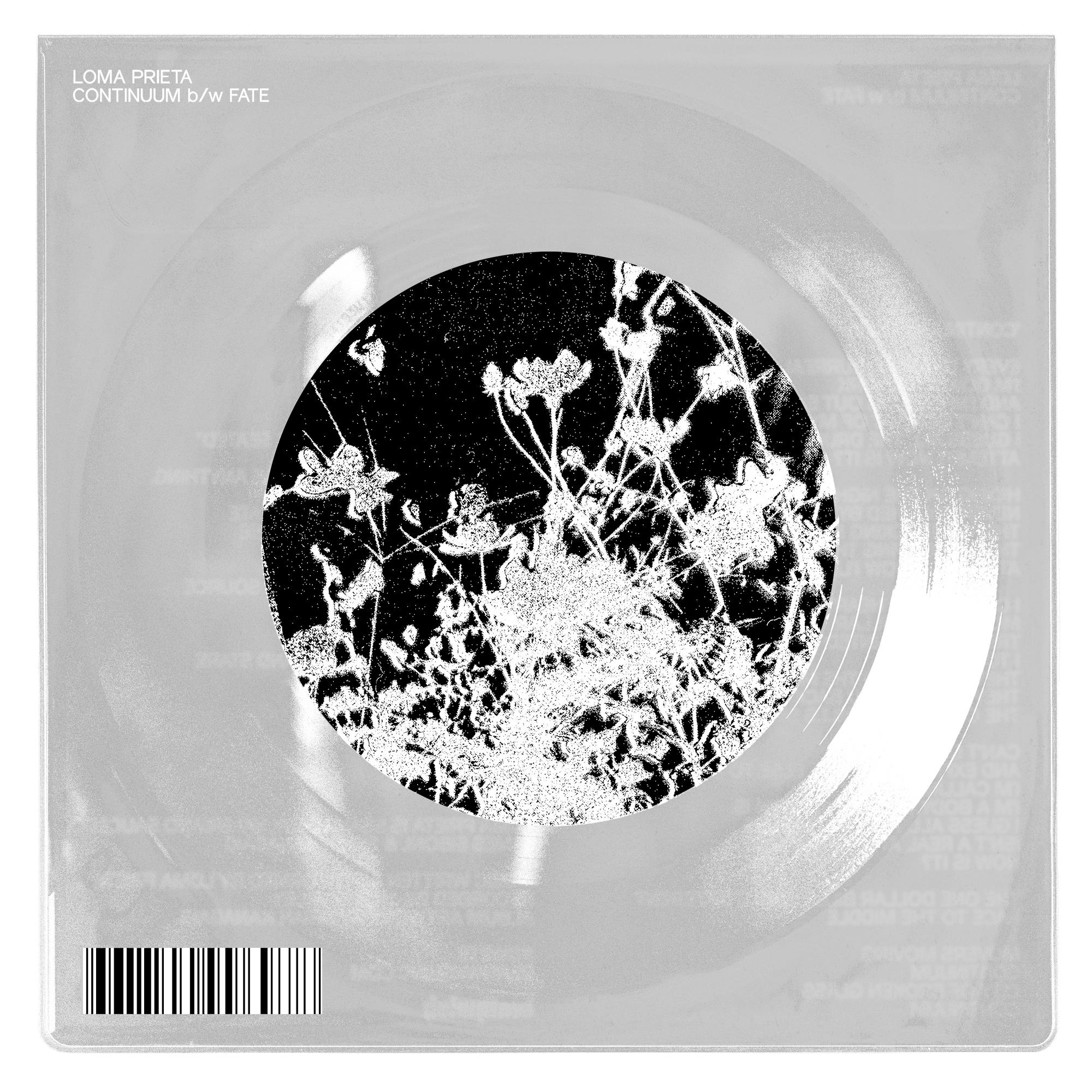Loma Prieta "Continuum b/w Fate"