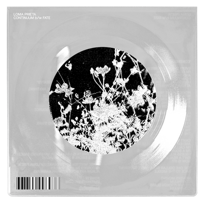 Loma Prieta "Continuum b/w Fate"