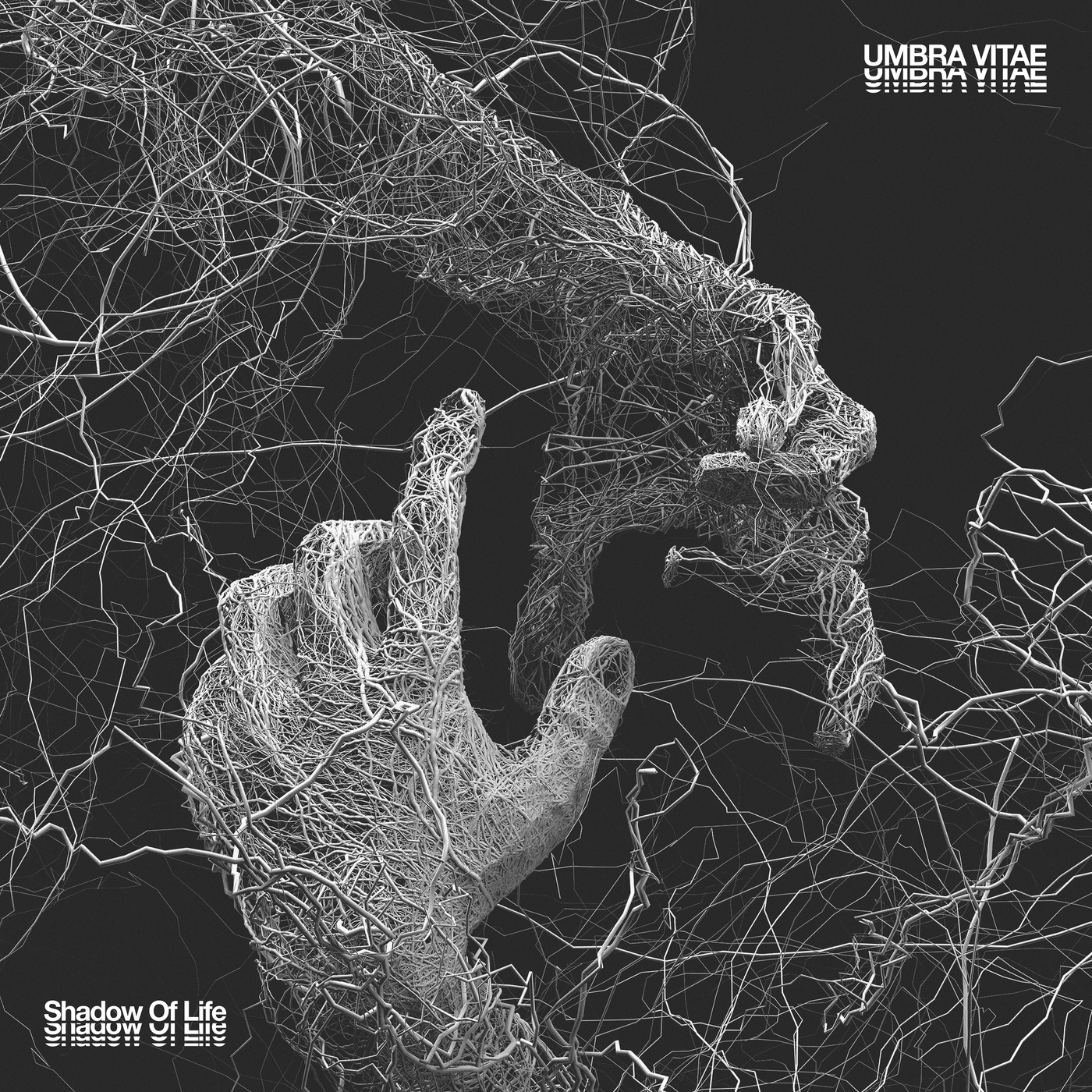 Umbra Vitae "Shadow of Life"