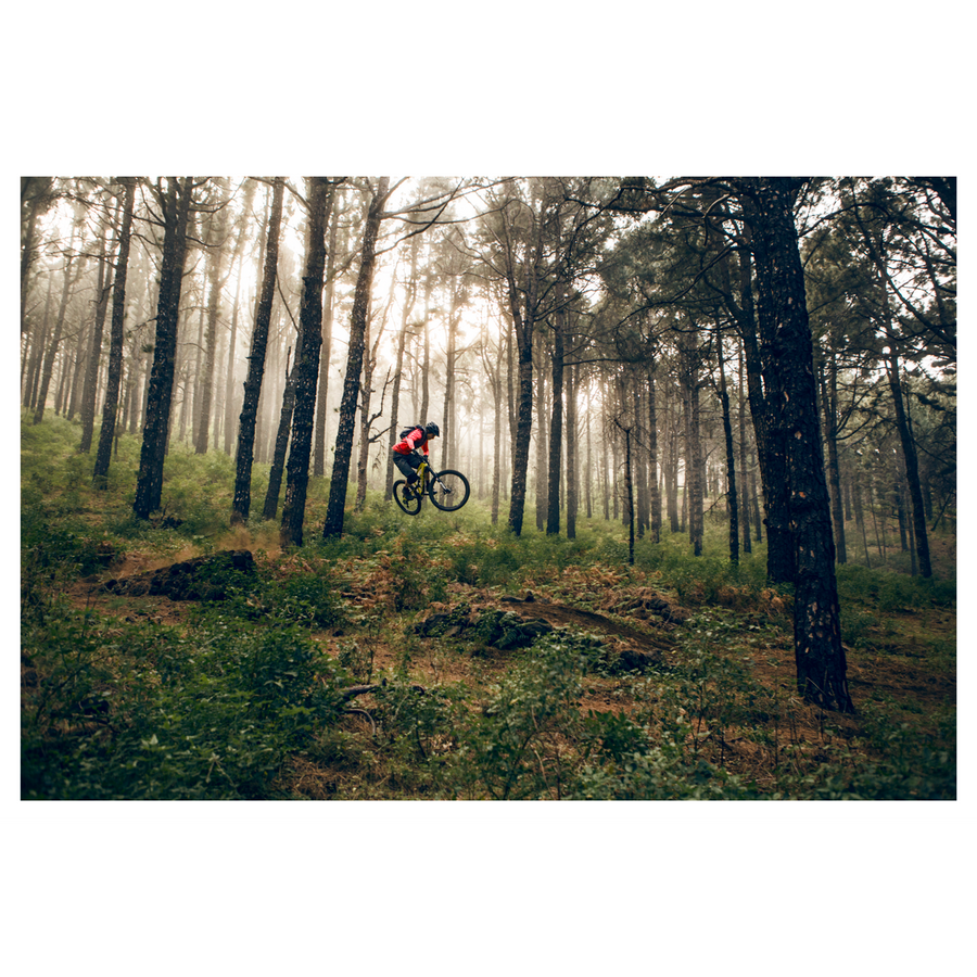 David Robinson "Axel Weinman - La Palma" Giclee Print