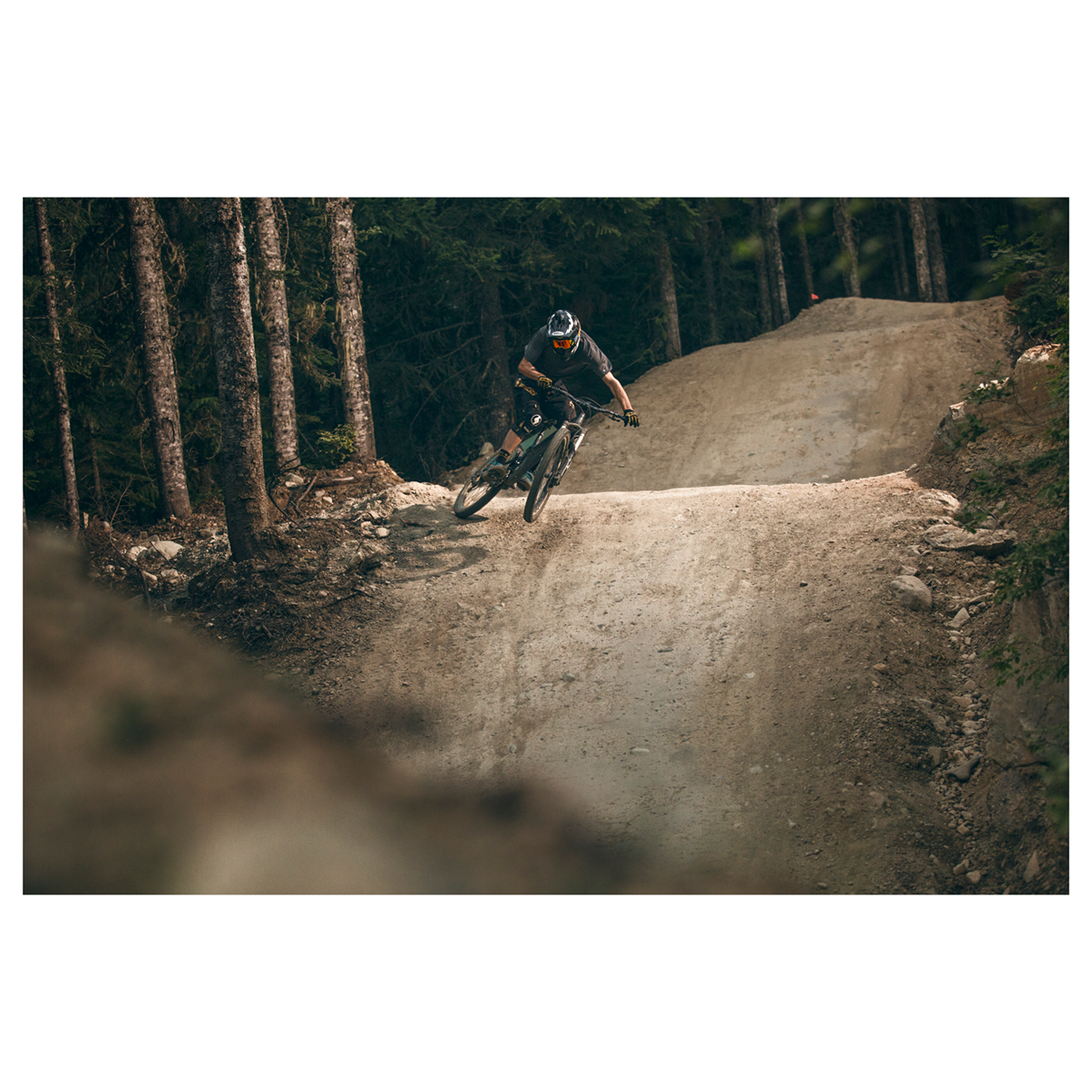 David Robinson "Phil Atwill - Whistler" Giclee Print