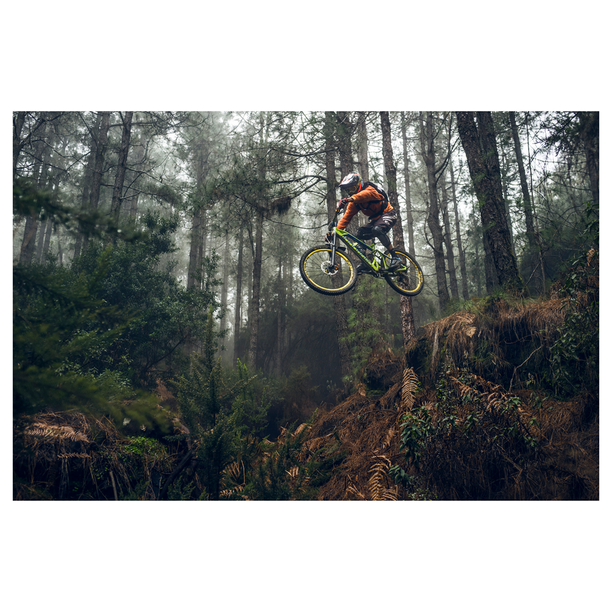 David Robinson "Rodrigo - La Palma" Giclee Print