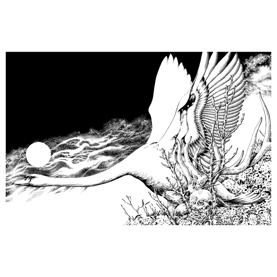 Fajar Allanda "Cygnus" Giclee Print