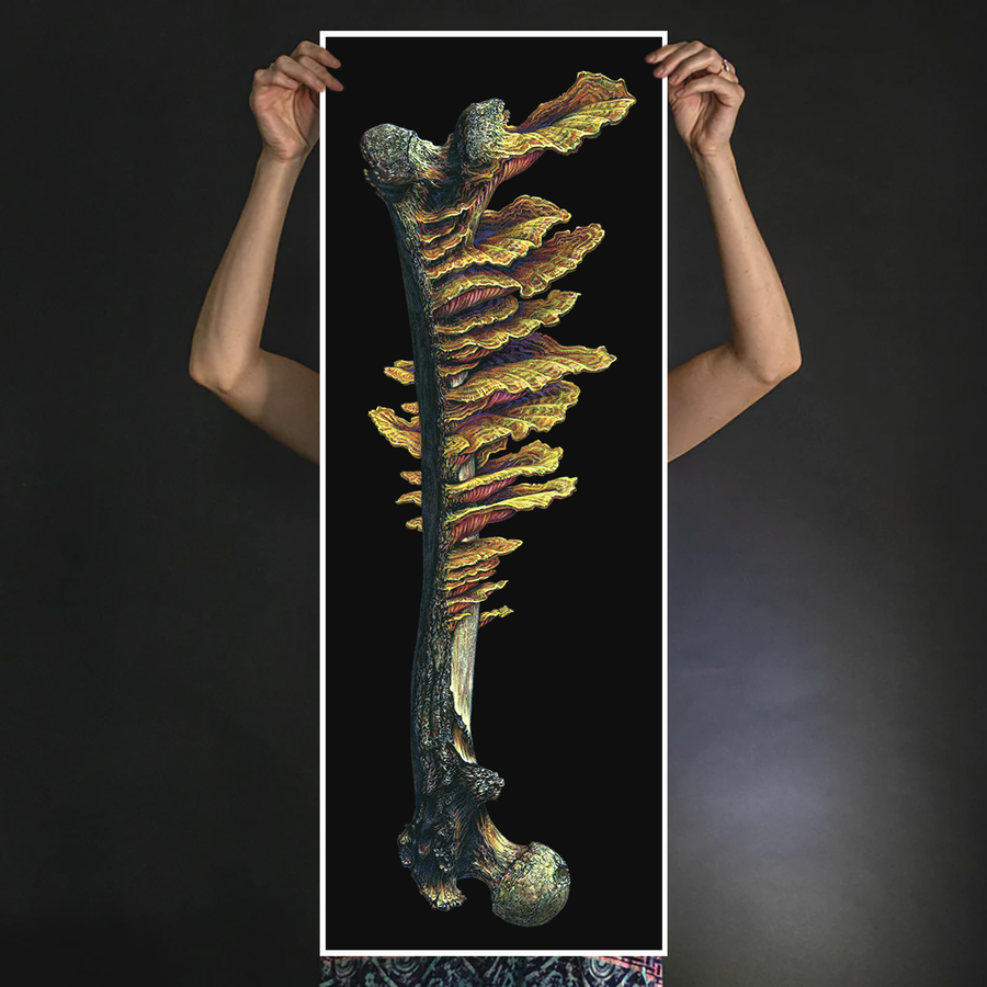 Marald Van Haasteren "16: Dreamsquasher (Marrow 2)" Giclee Print