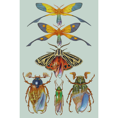 Marald Van Haasteren "March To The Sea: 01" Giclee Print