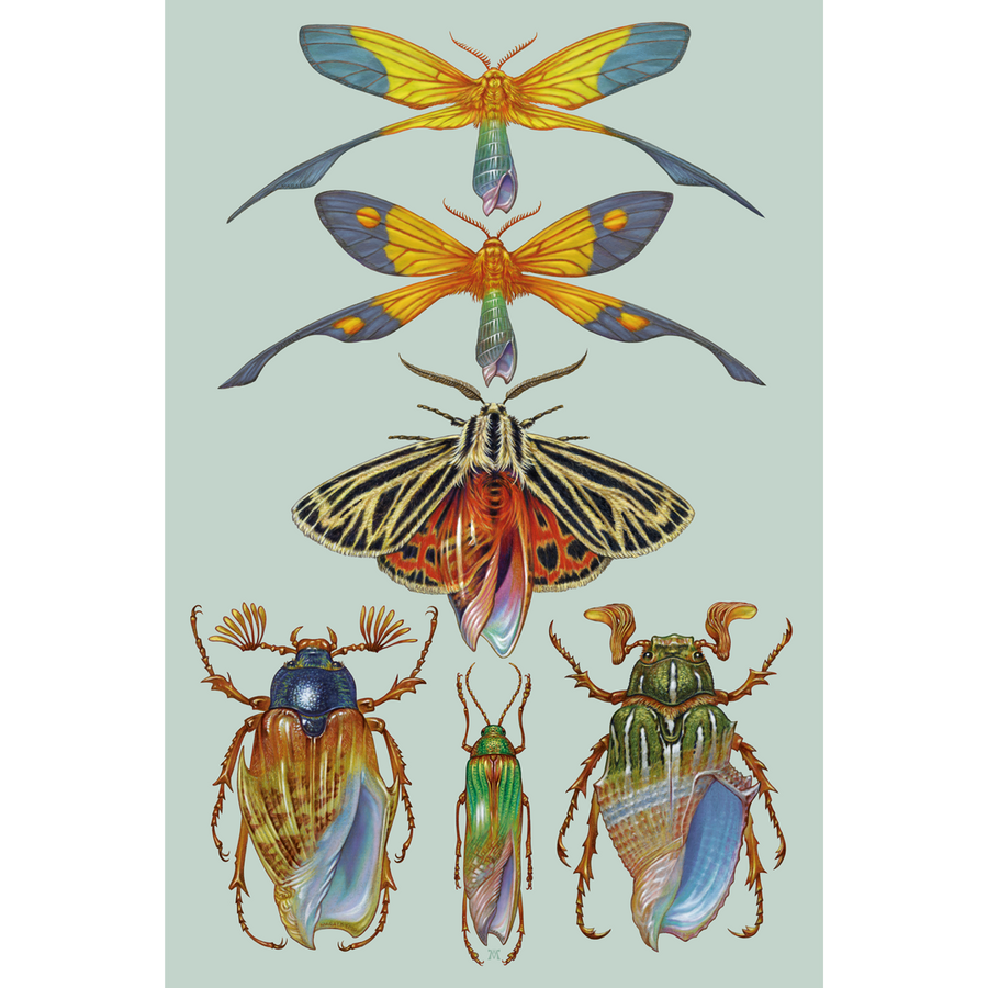 Marald Van Haasteren "March To The Sea: 01" Giclee Print