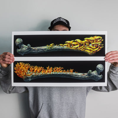Marald Van Haasteren "Marrow" Giclee Print