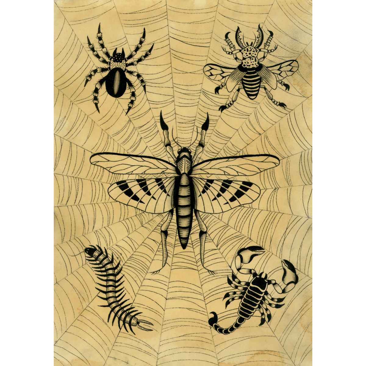 Marvin Nygaard "Creepy Crawl" Giclee Print