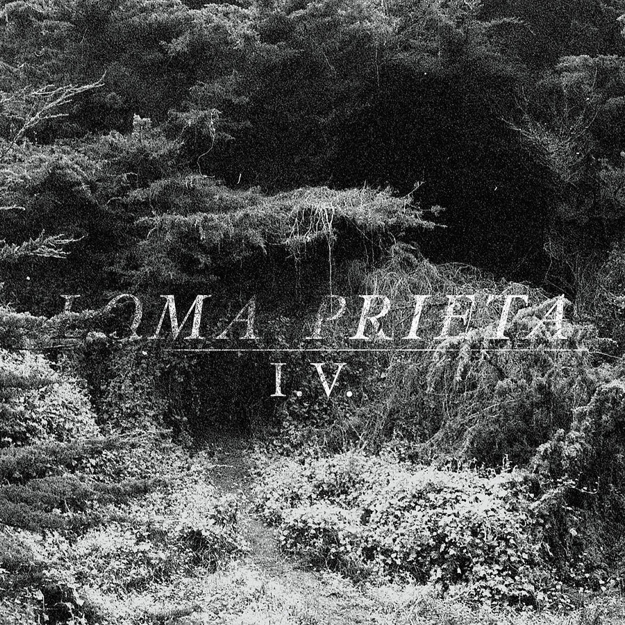 Loma Prieta "I.V."