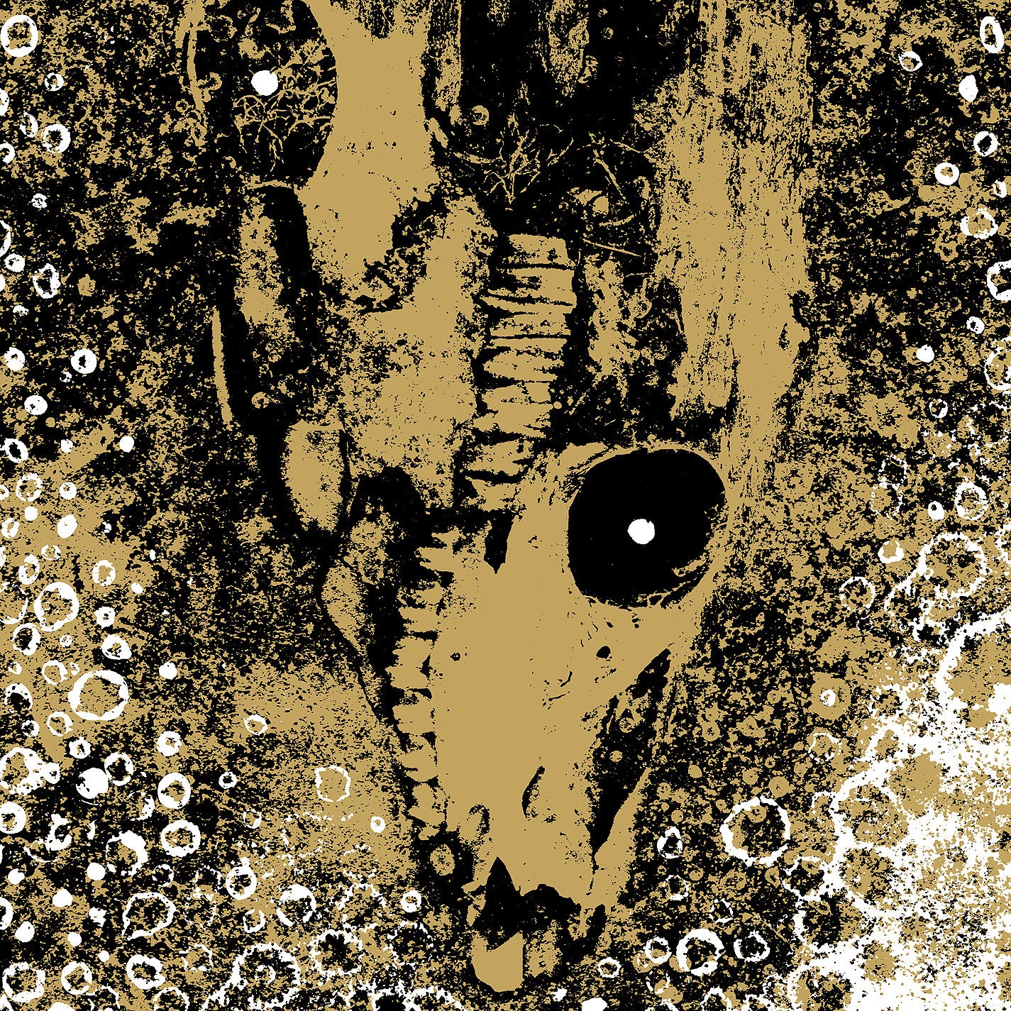 Rise And Fall "Our Circle Is Vicious"