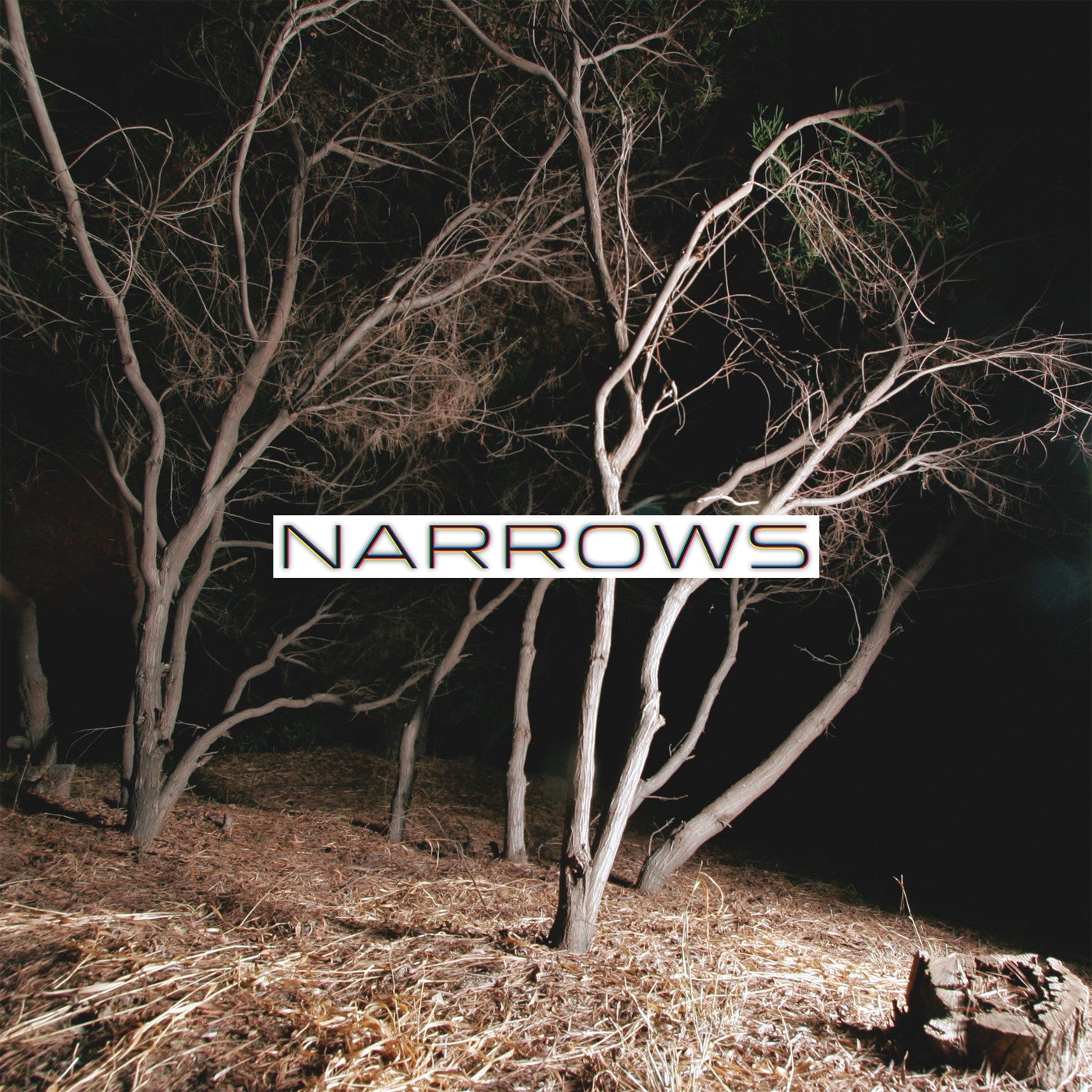Narrows "Self Titled"