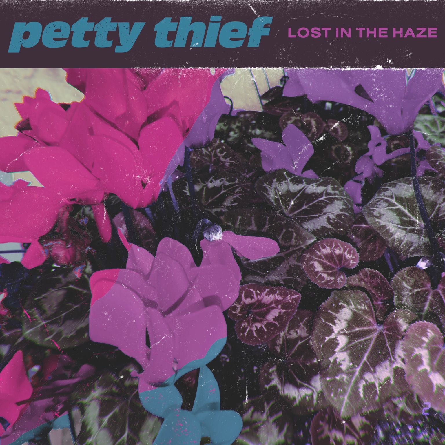 Petty Thief  "Lost In The Haze"