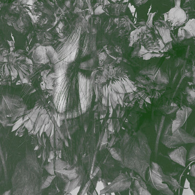 Lesser Men "Biding Time"