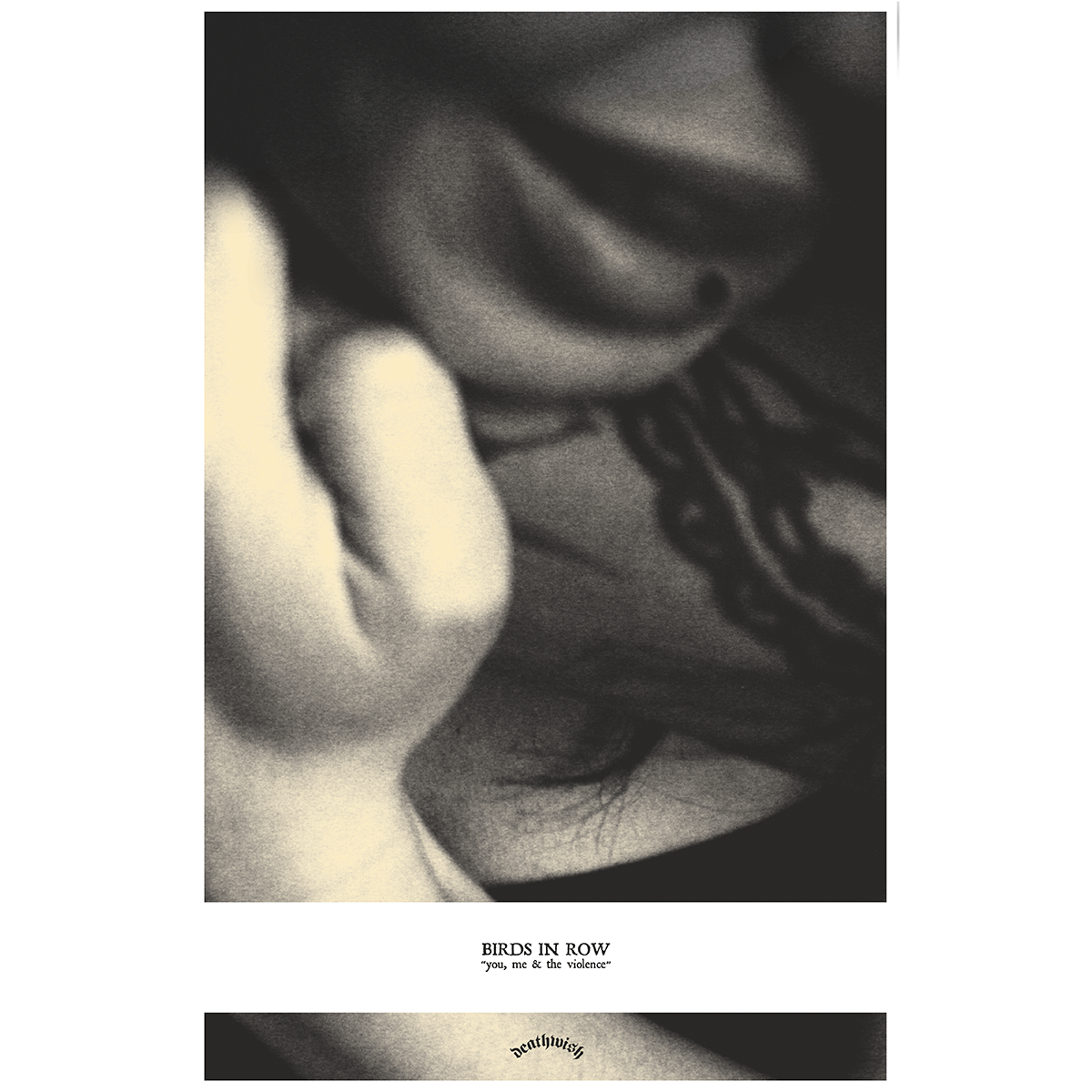 Birds In Row "You, Me, & The Violence" Poster