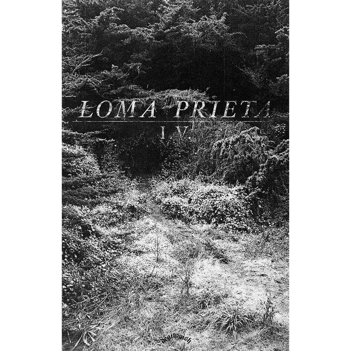 Loma Prieta "I.V." Poster