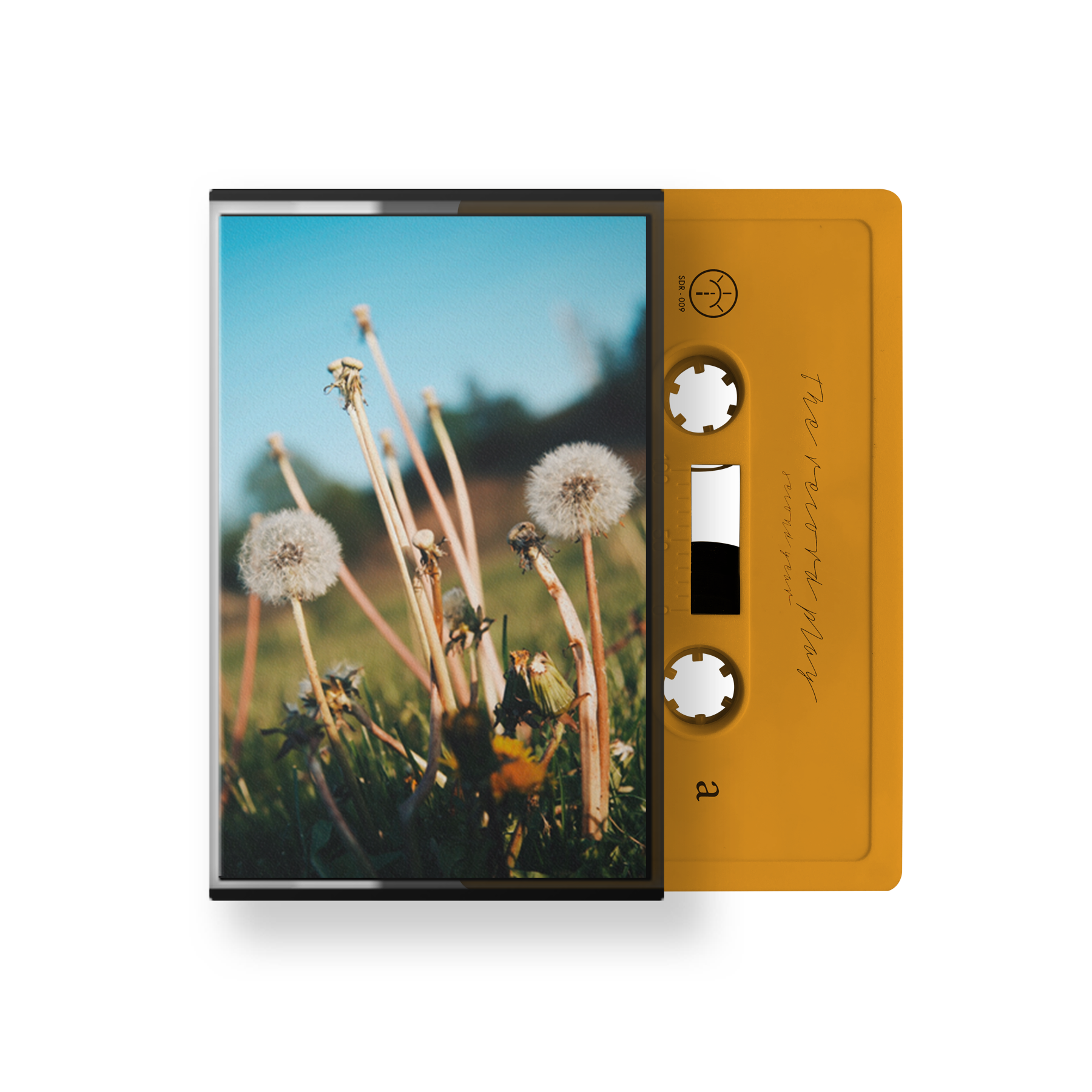 The Record Play "Second Year"