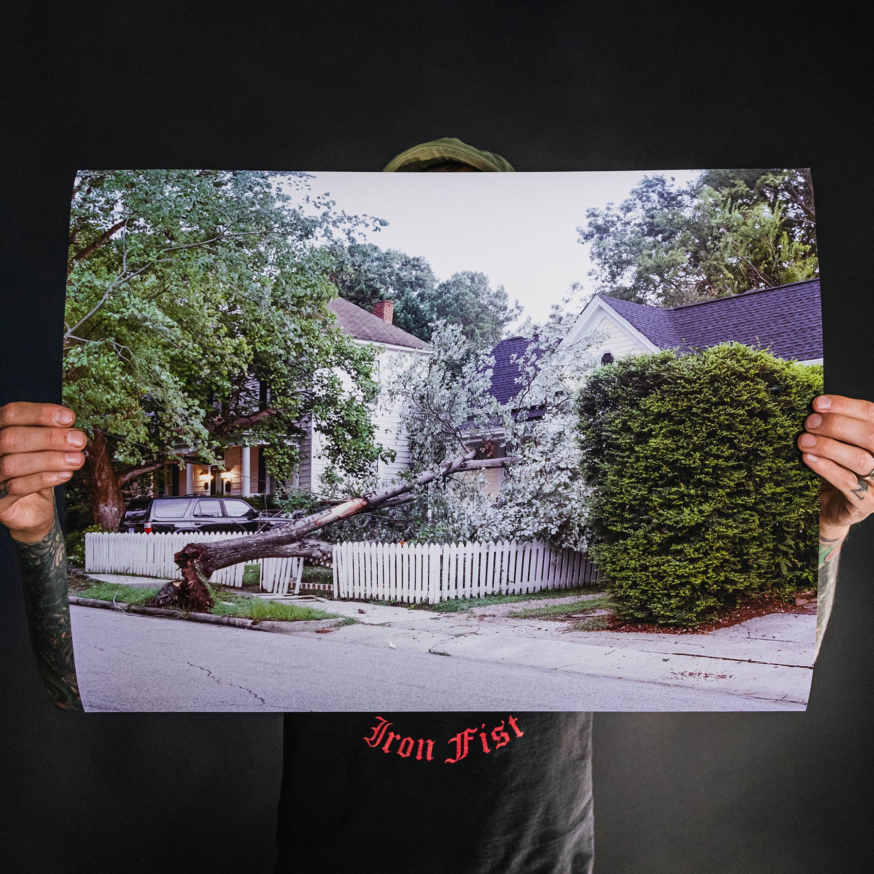 Reid Haithcock "Continual Disaster: Tree Gives In" Giclee Print