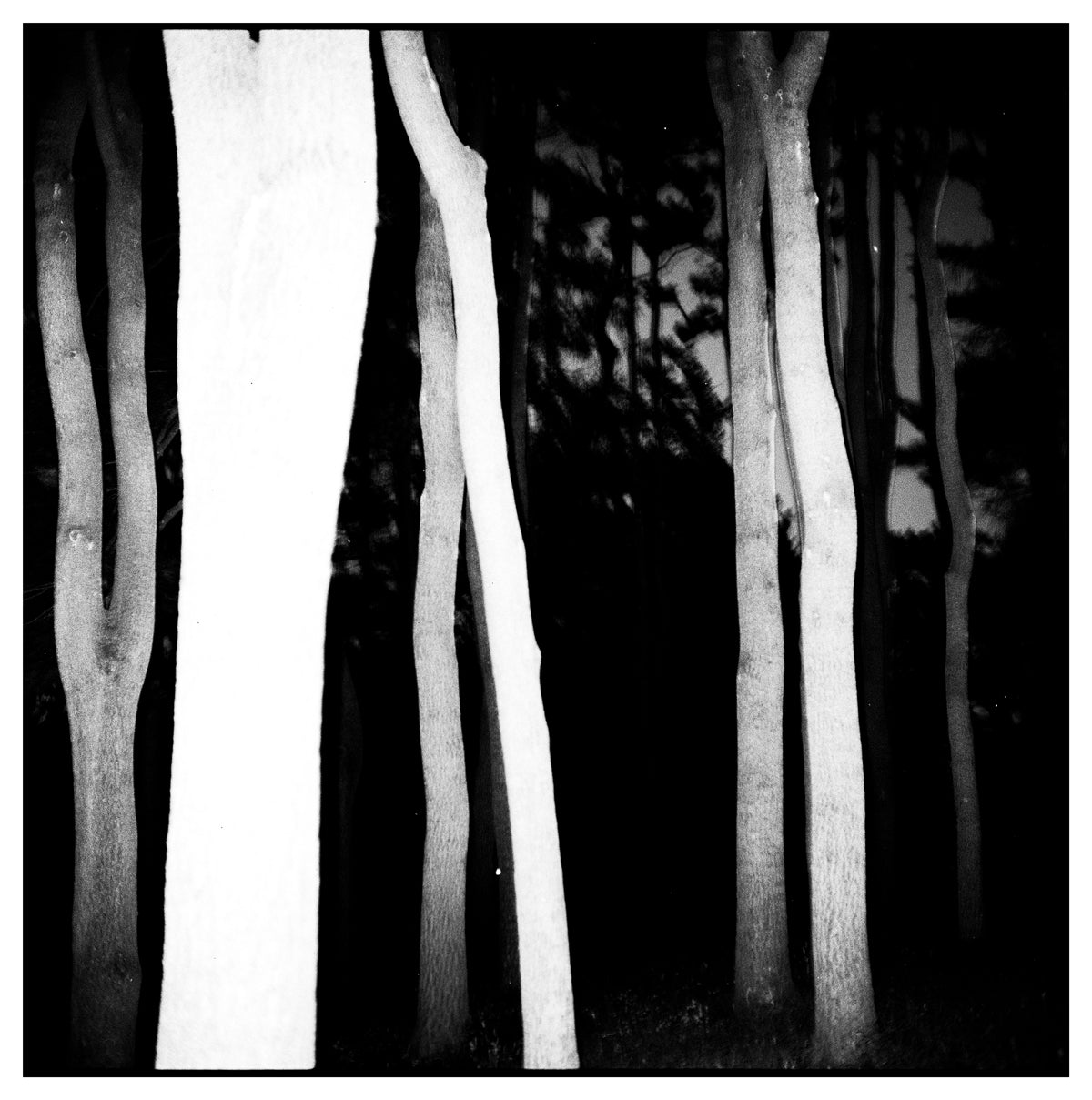 Reid Haithcock "Landscape" Giclee Print