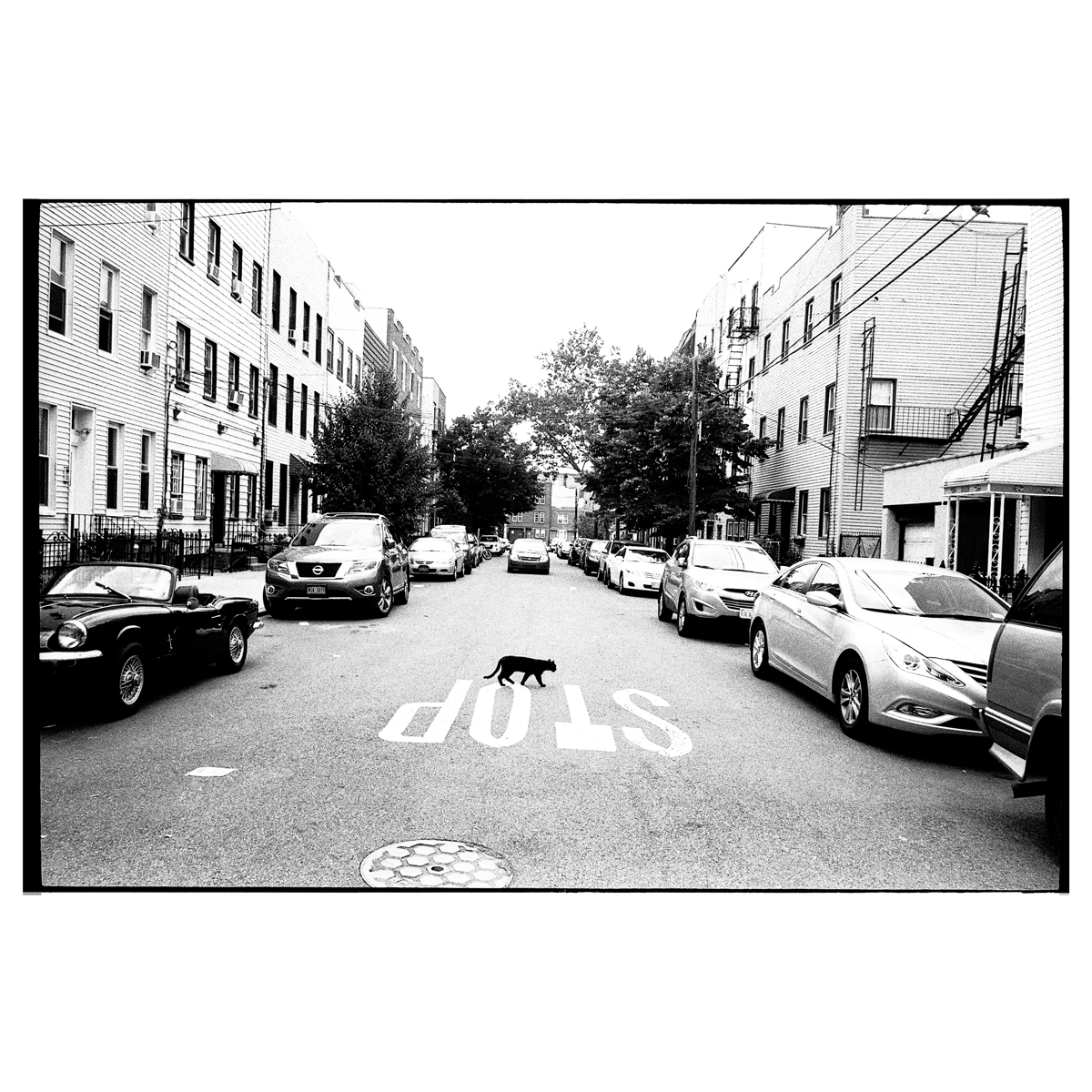 Reid Haithcock "Bad Luck Philly" Giclee Print