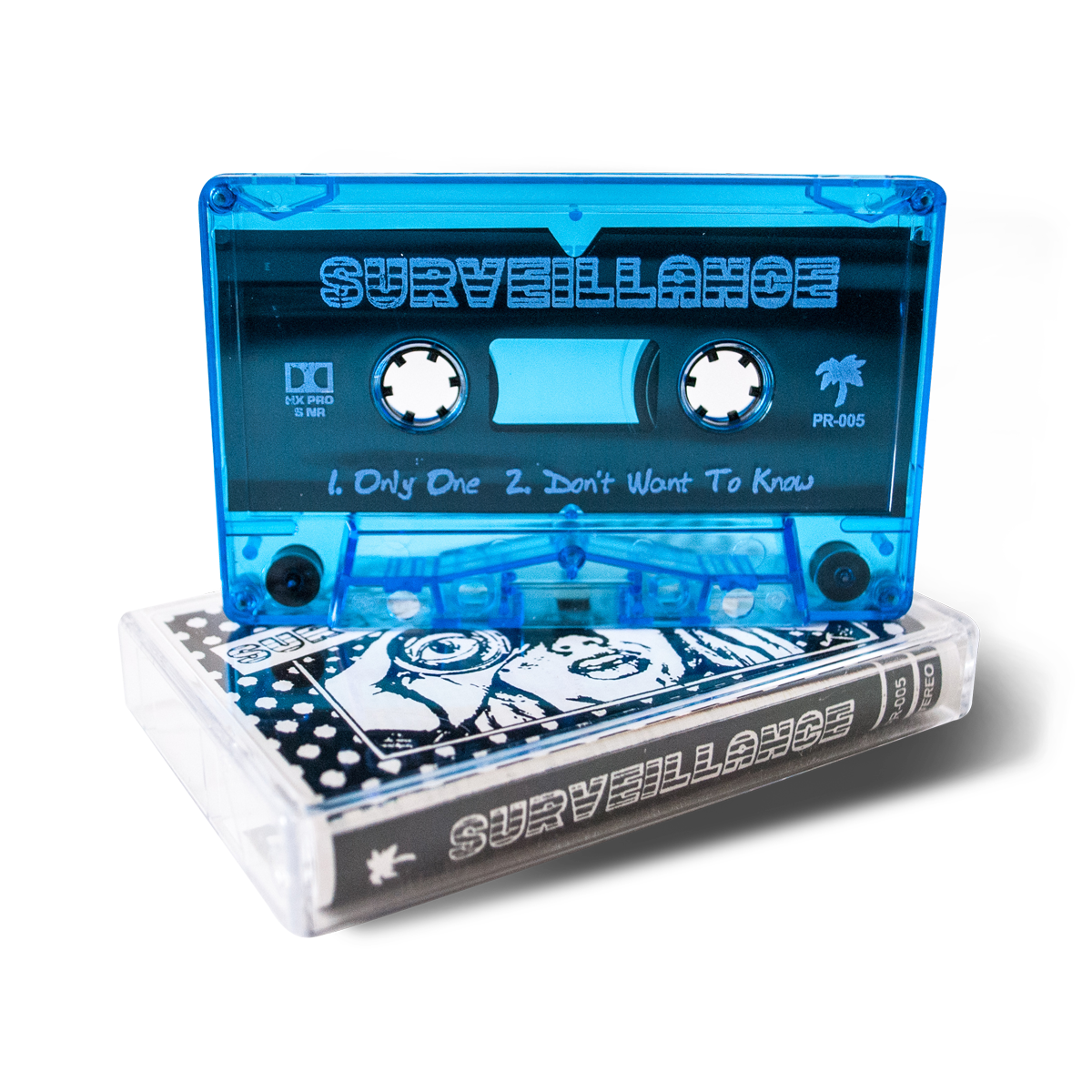 Surveillance "Demonstration"