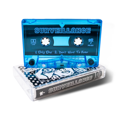 Surveillance "Demonstration"