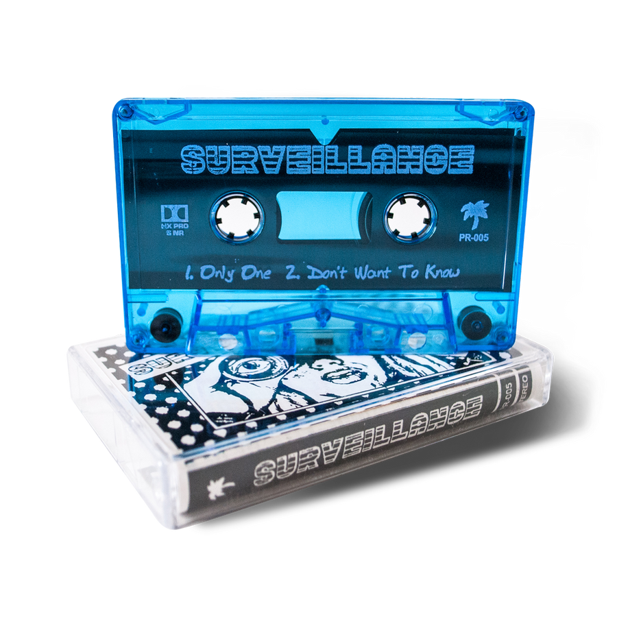 Surveillance "Demonstration"