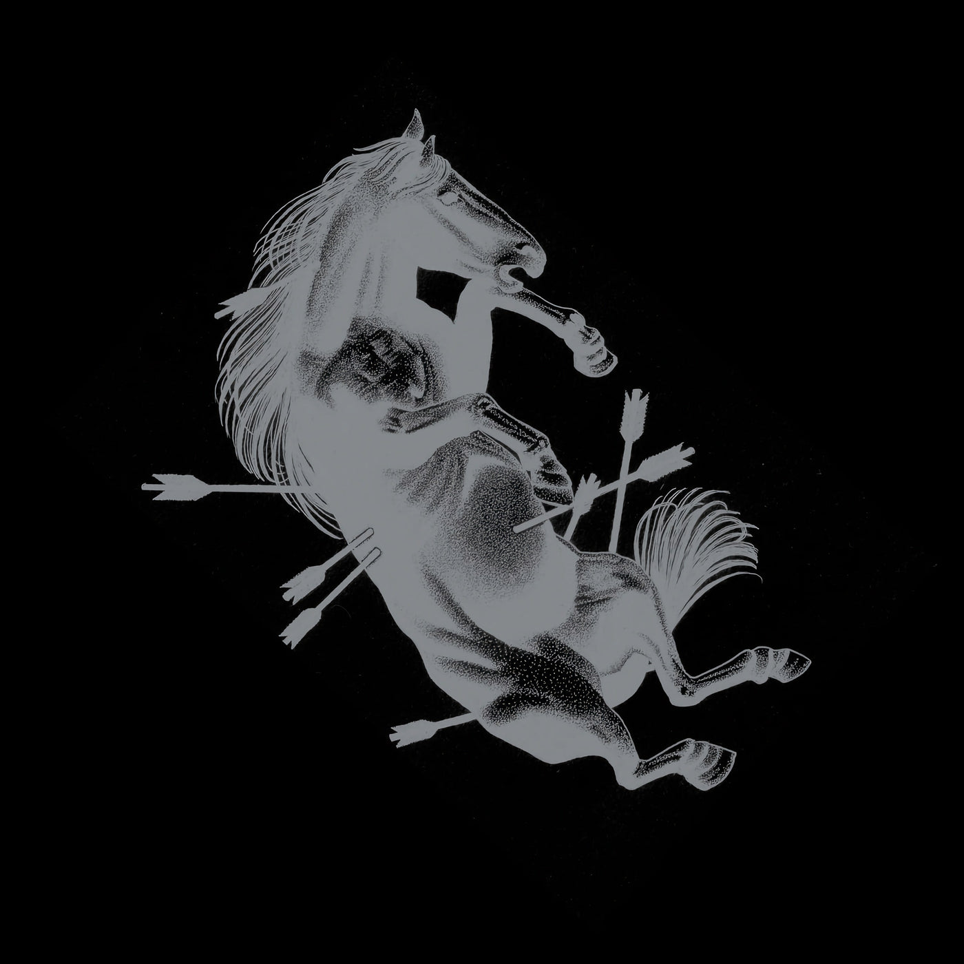 Touché Amoré "Dead Horse X"