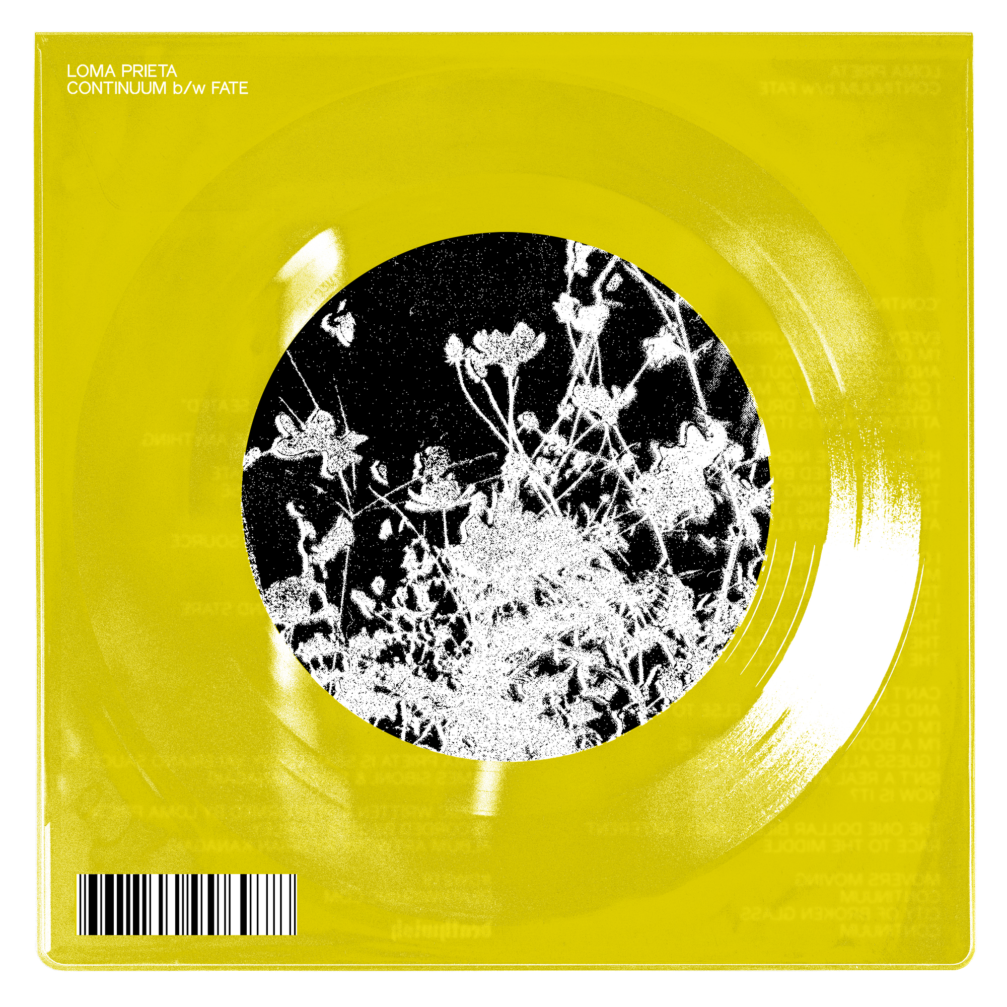 Loma Prieta "Continuum b/w Fate"