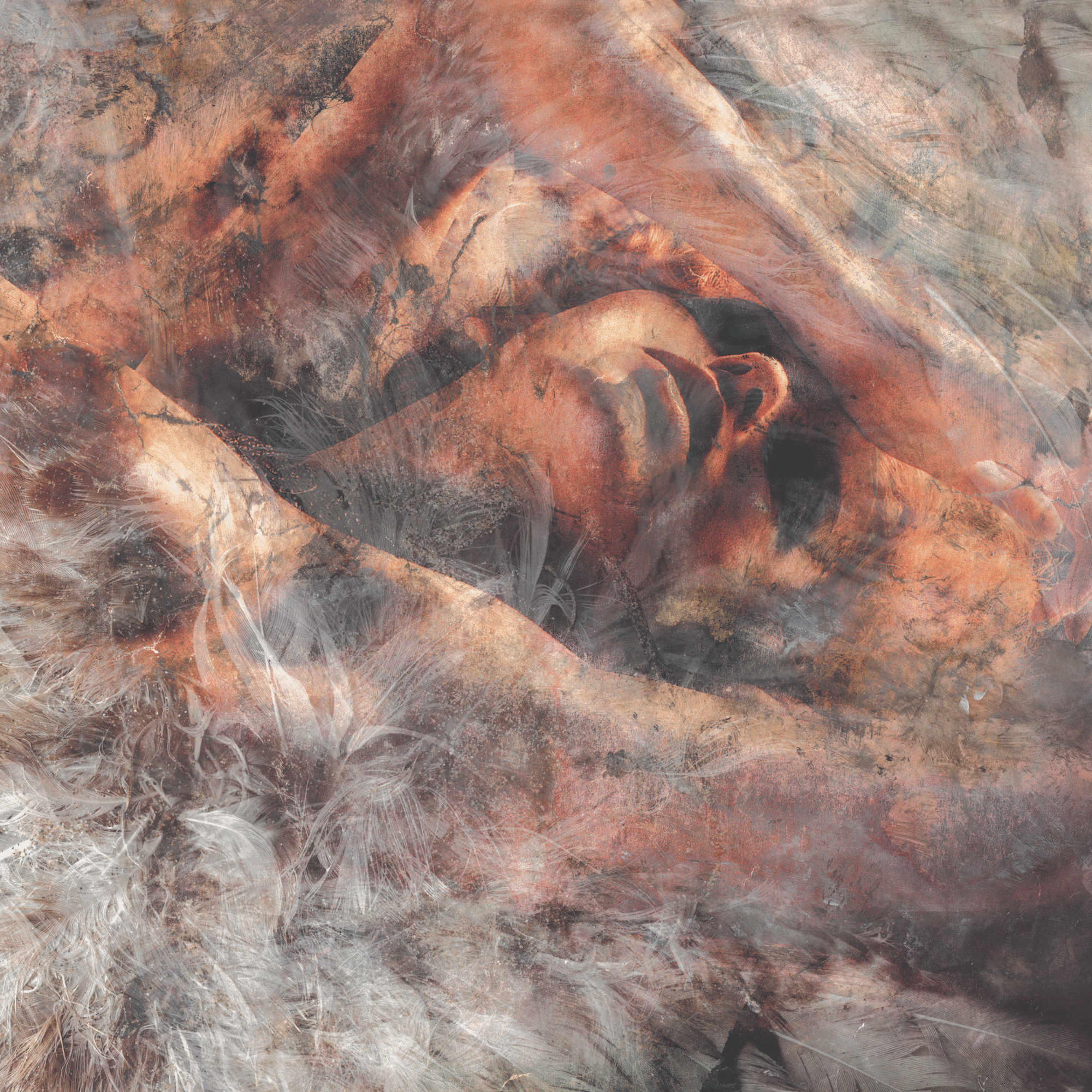 Converge "Unloved And Weeded Out"