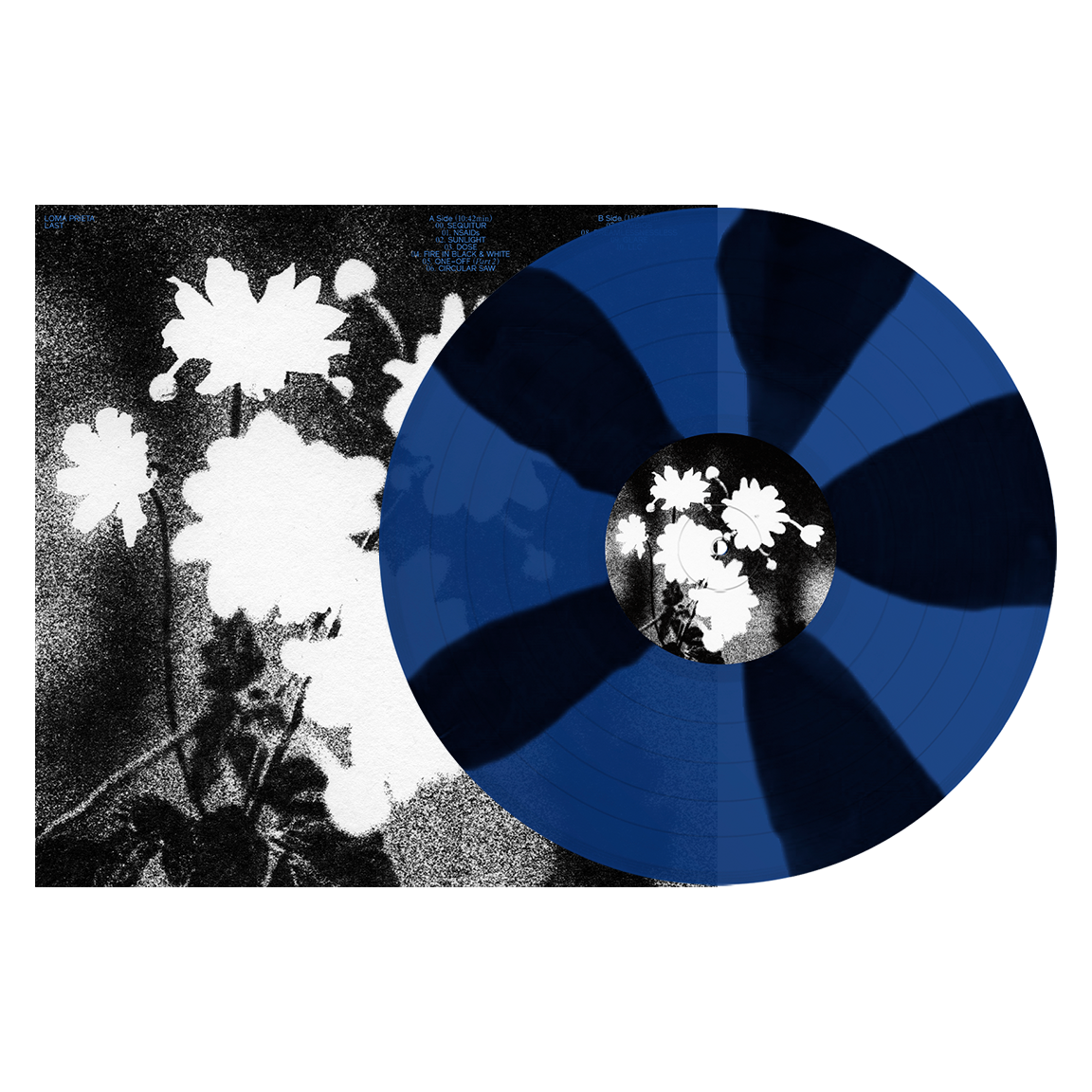 Loma Prieta "Last"