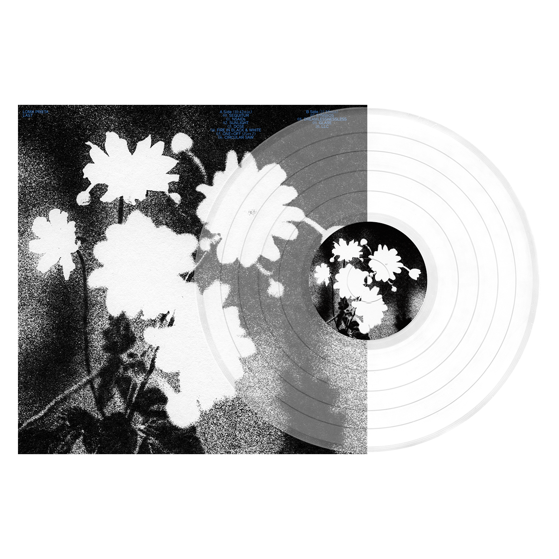 Loma Prieta "Last"