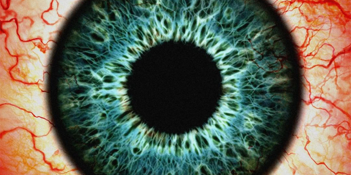 Umbra Vitae “Shadow Of Life” CD/Indie Vinyl out October 23rd