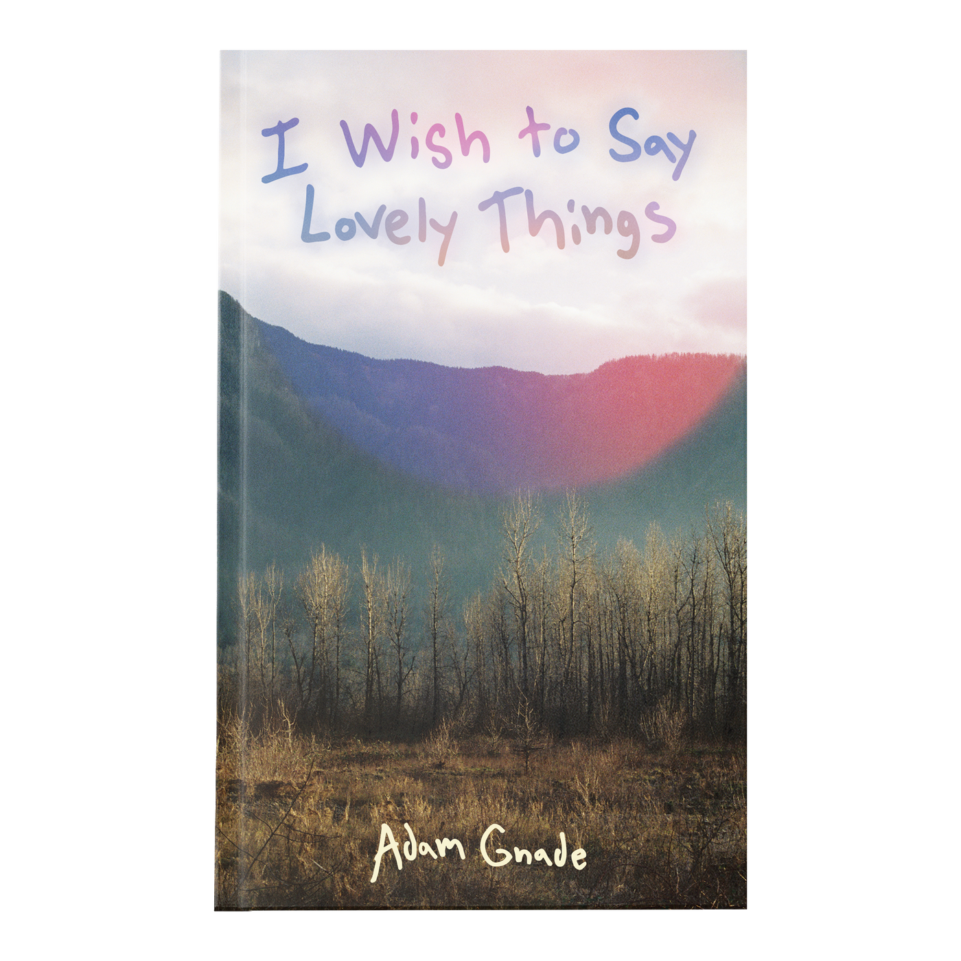 Adam Gnade "I Wish to Say Lovely Things"