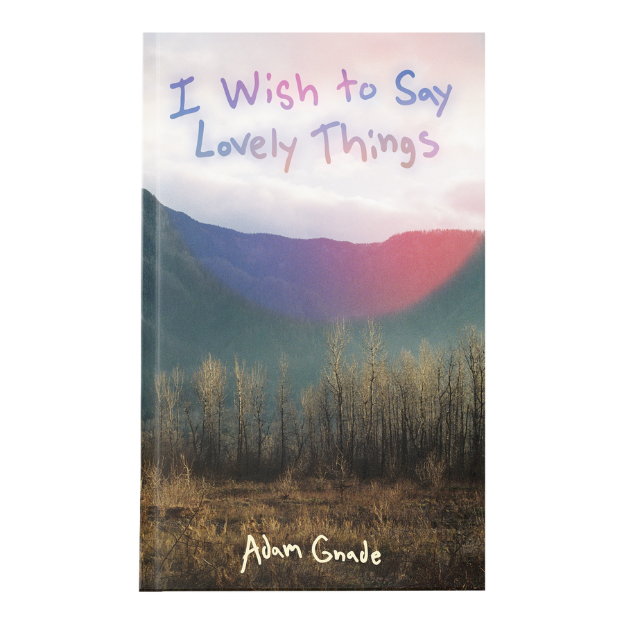 Adam Gnade "I Wish to Say Lovely Things"