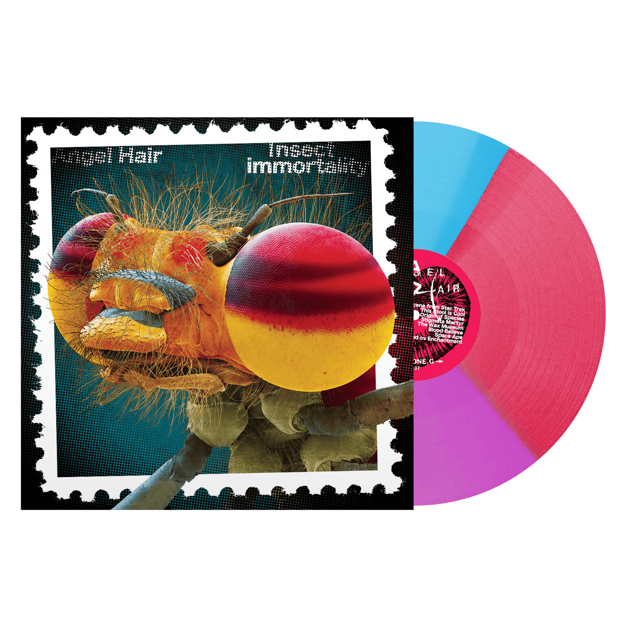 Angel Hair "Insect Immortality"