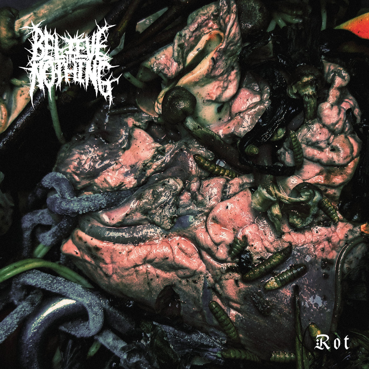 Believe in Nothing "Rot"