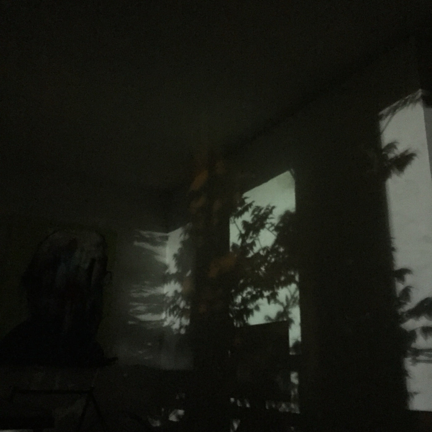 Chastity "Feeling Loved Feeling Fucked"