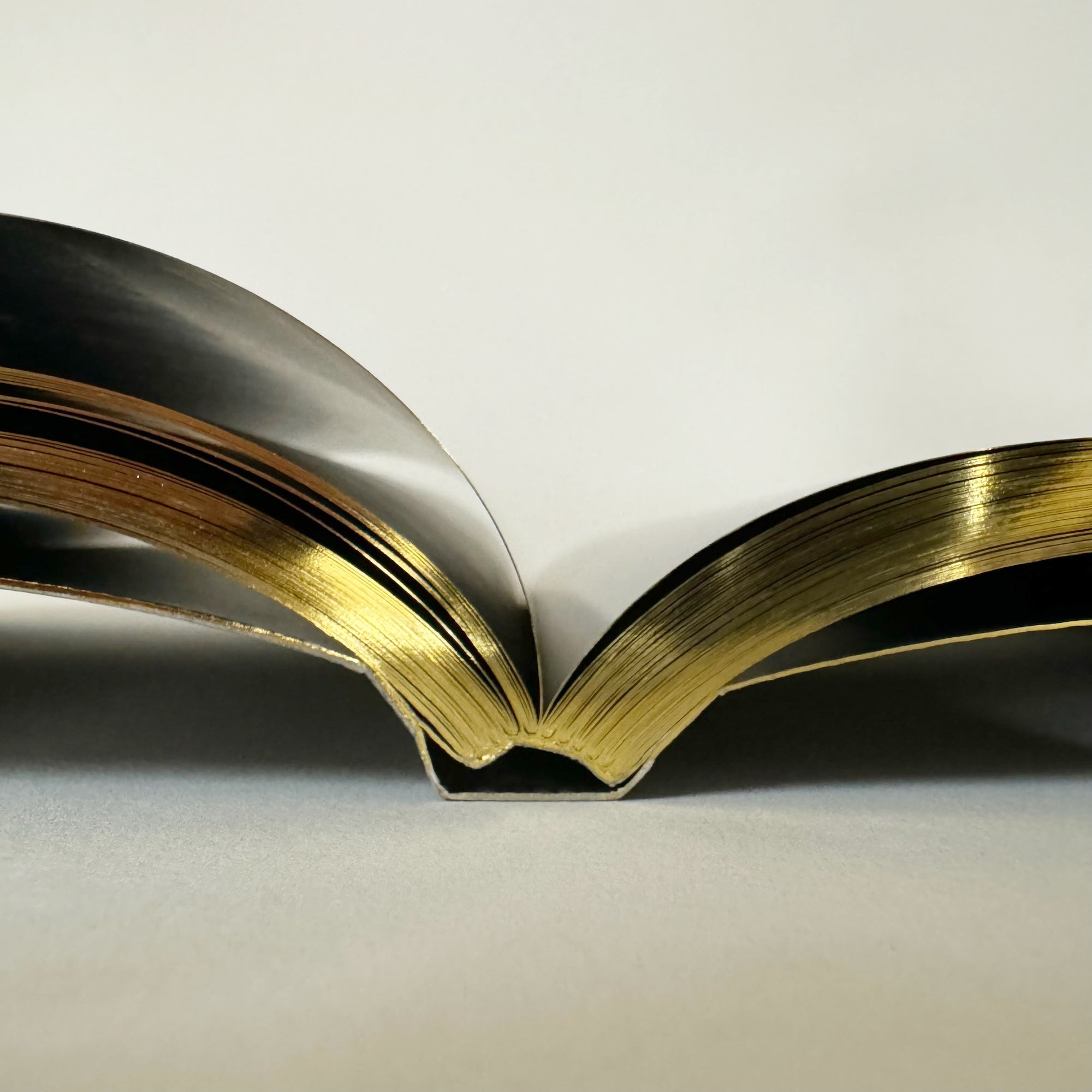 "Did You Get What You Wanted" by Mark McCoy