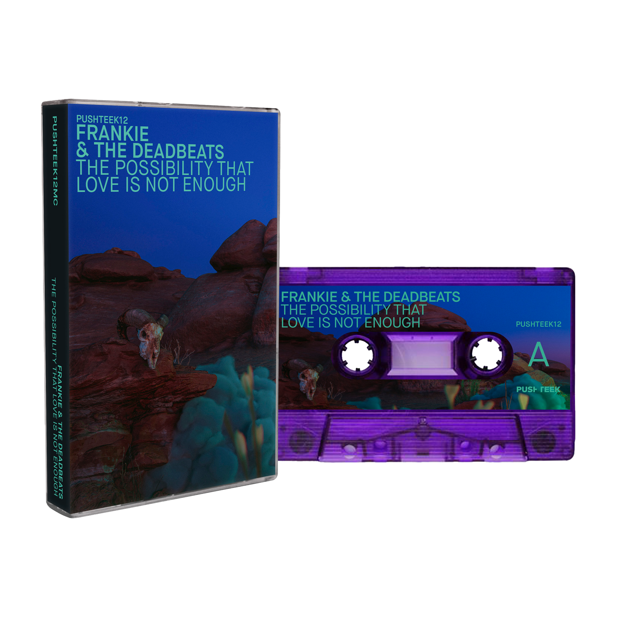 Frankie & The Deadbeats "The Possibility That Love Is Not Enough"