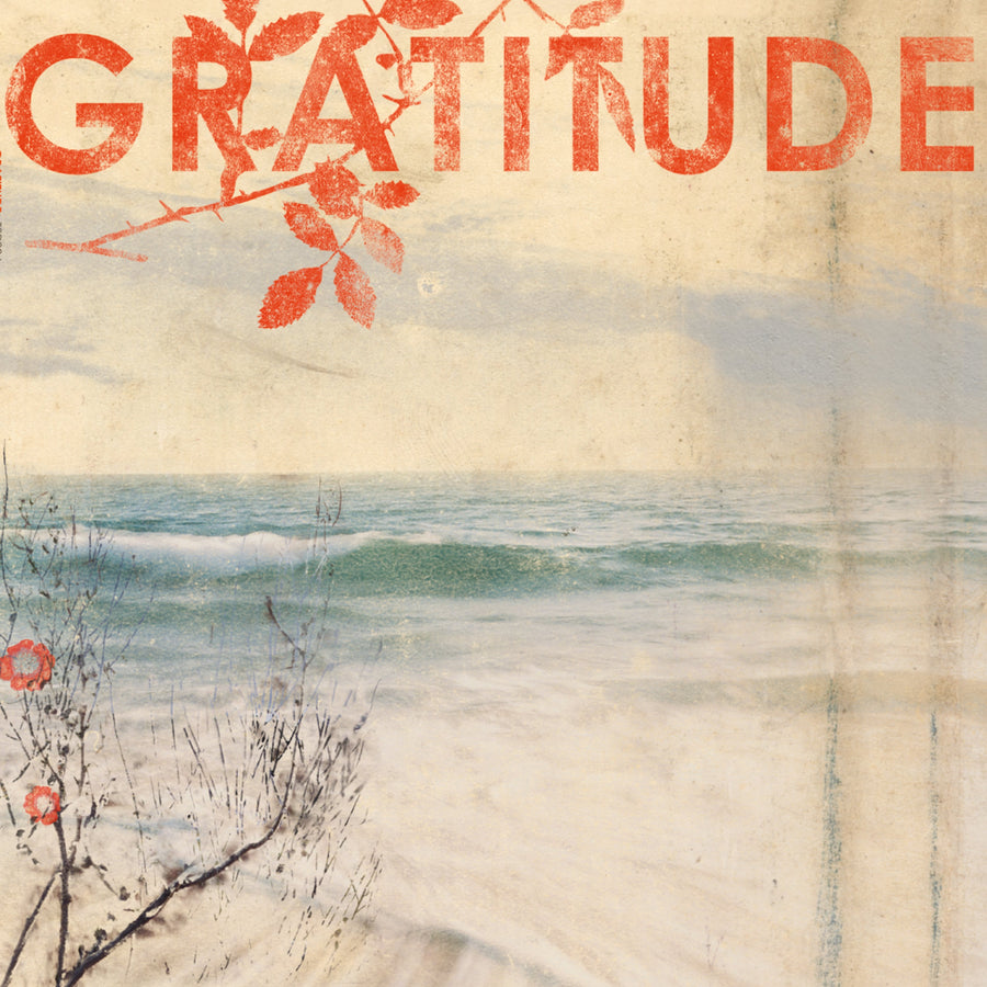 Gratitude "Gratitude"