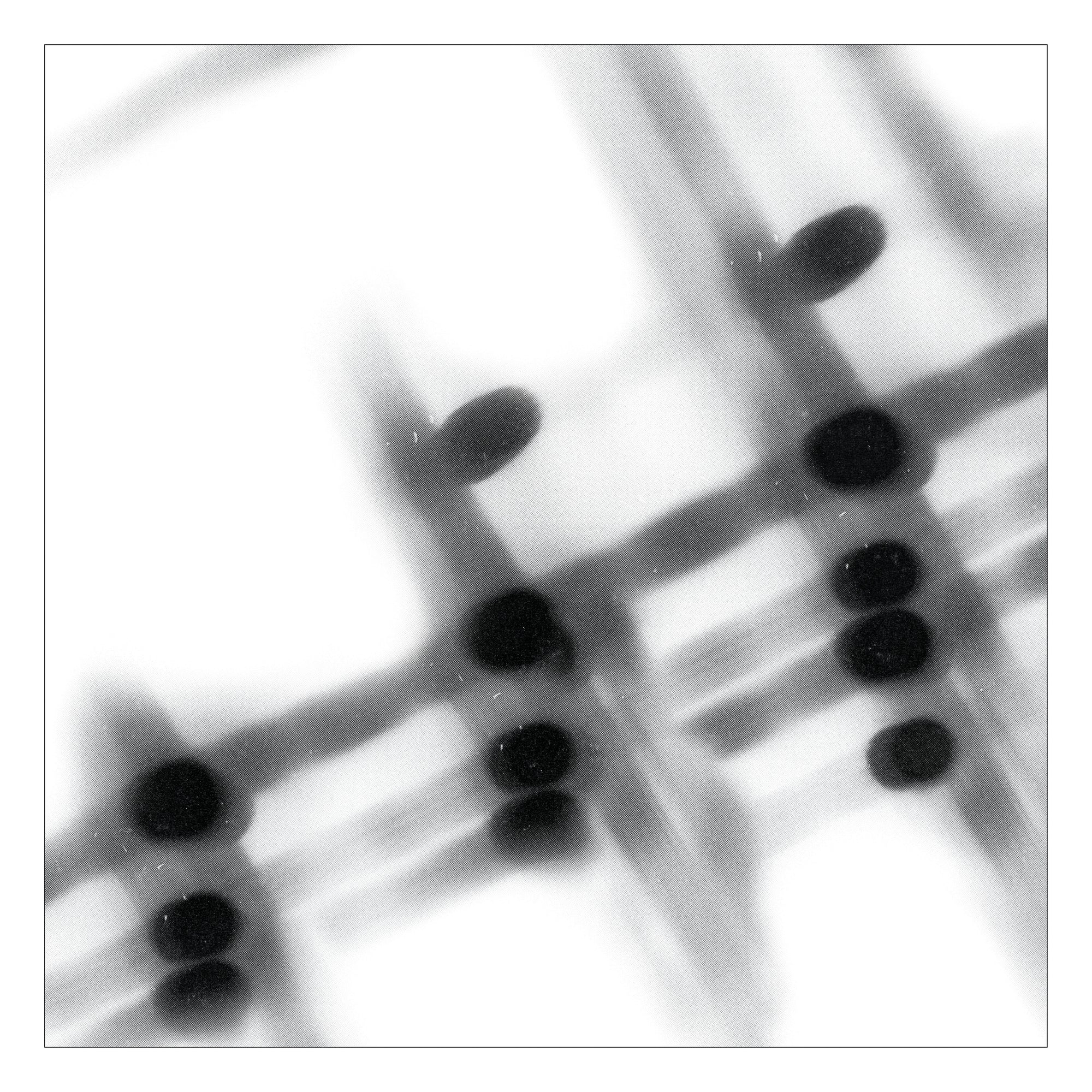 Gregor Samsa "40:13.5"