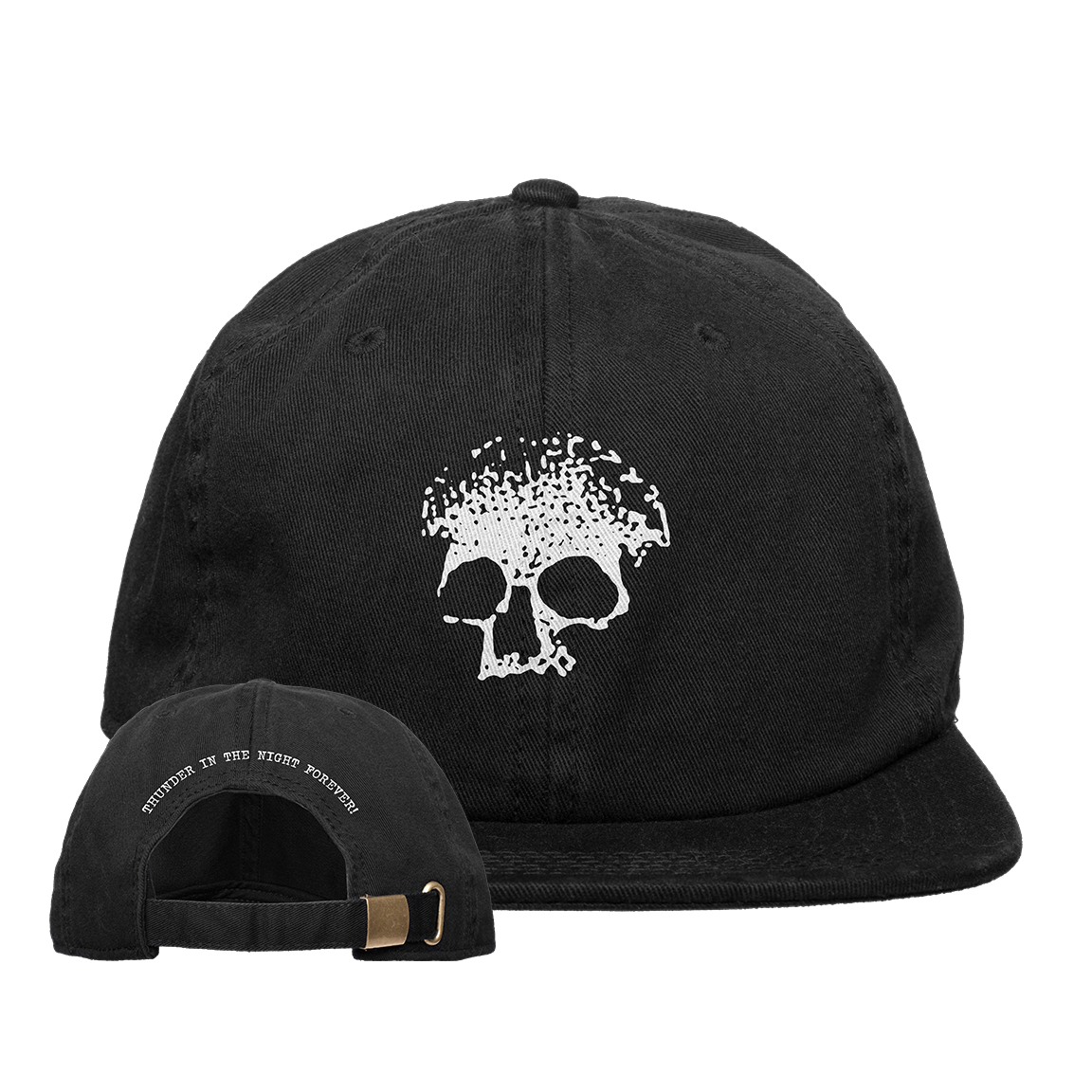 Planes Mistaken For Stars "Thunder In The Night Forever!" Dad Hat